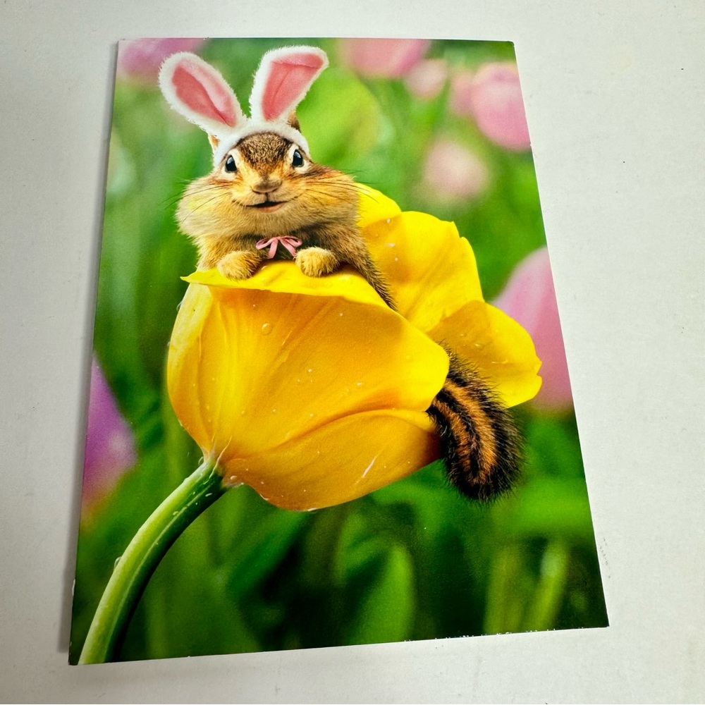 4 Avanti Greeting cards -chipmunk in yellow flower with bunny ears. Easter.